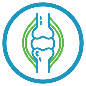 Icon of joint reconstruction