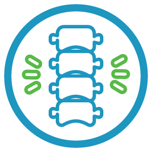 icon of a spine injury