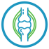 Icon of joint reconstruction