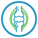 Icon of joint reconstruction