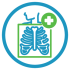 Icon of x-ray