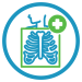 Icon of x-ray